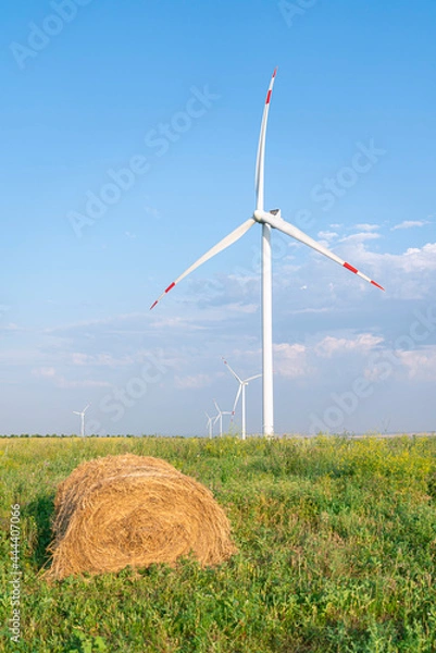 Fototapeta wind turbines in a field against the sky