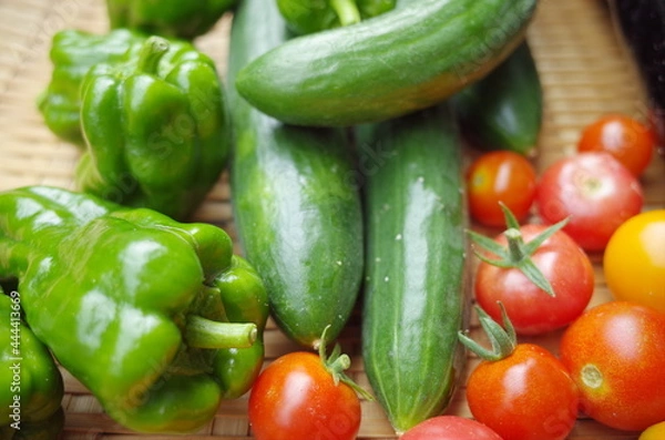 Fototapeta 家庭菜園で美味しい新鮮野菜を食べよう