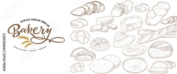 Fototapeta Set of natural elements of bread sketch vector illustration