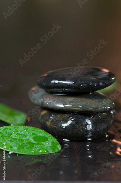Fototapeta Rocks and green leaf