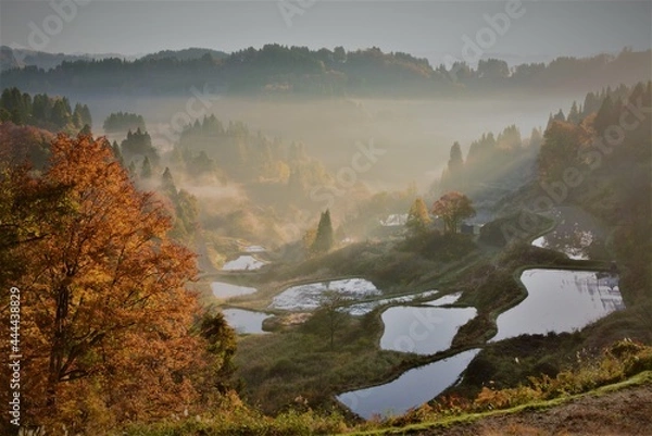 Obraz 朝焼けと田