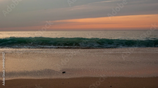 Obraz sunset over the river