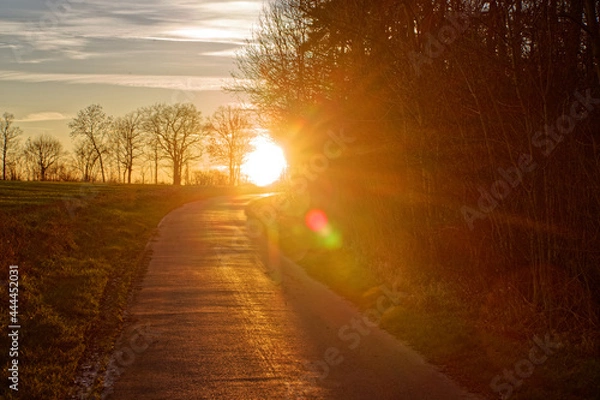 Obraz 42 / 5000
Übersetzungsergebnisse
Path before sunset with light reflection 