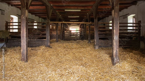 Fototapeta Interior of stable in horse breeding in Florianka, Zwierzyniec, Roztocze, Poland. Clean hay lying down on the floor