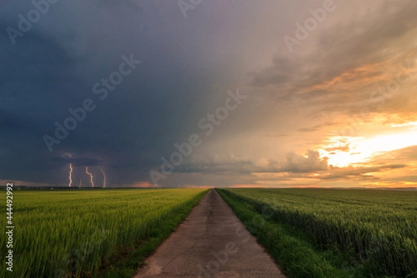 Fototapeta sunset and thunderstorm
