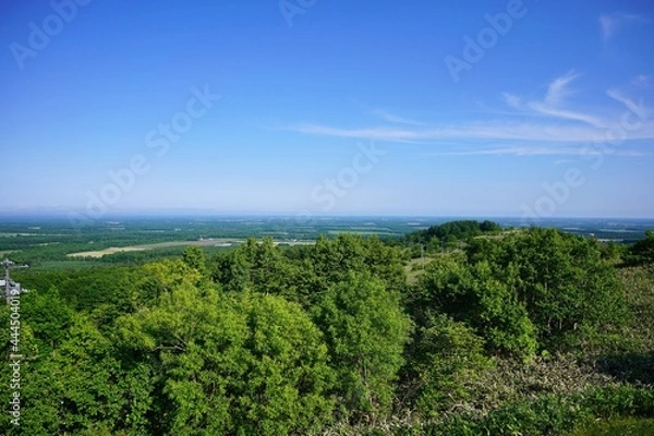 Fototapeta 北海道の地平線