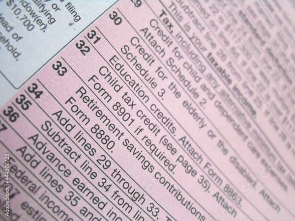 Obraz United States Tax Form