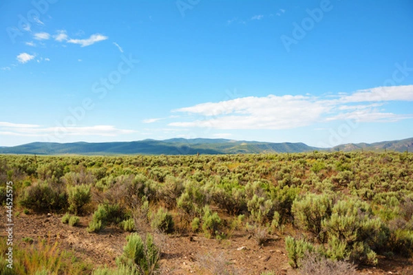 Obraz ユタ州の風景