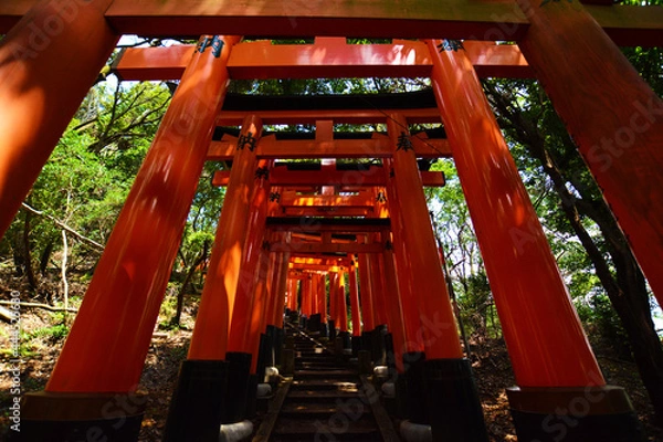 Obraz 伏見稲荷大社の千本鳥居