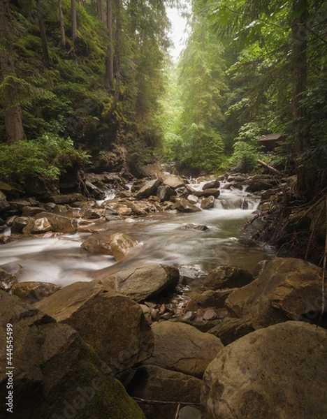 Obraz River stream waterfall in forest landscape. River stream