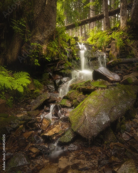 Fototapeta Waterfall in the summer forest. Colorful natural landscape with waterfall with blurry water in the mountains