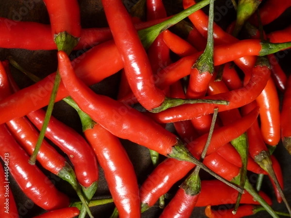 Obraz A cornucopia of red chilli