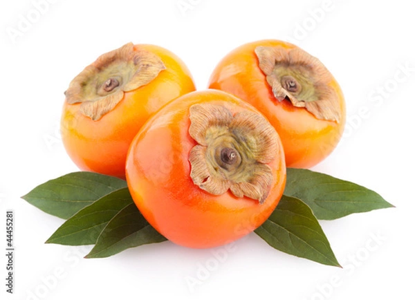 Obraz dojrzałe persimmony