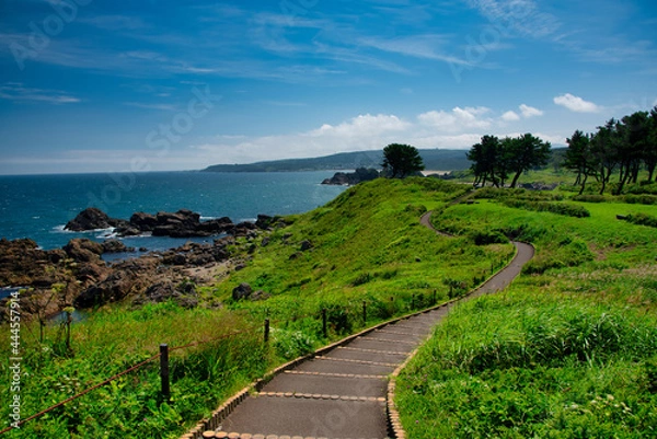 Fototapeta みちのくトレイル