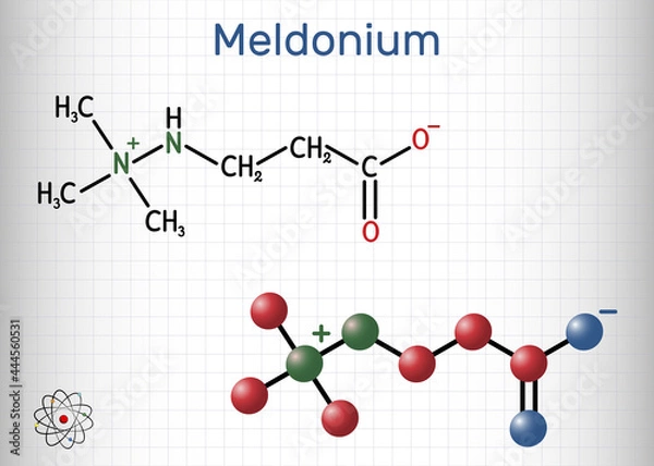 Fototapeta Meldonium molecule. Cardioprotective drug used for treatment of heart failure, myocardial infarction, arrhythmia, atherosclerosis, diabetes. Sheet of paper in a cage