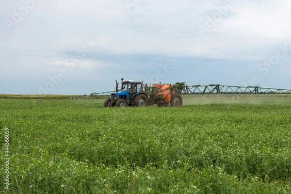 Obraz Summer agricultural work.