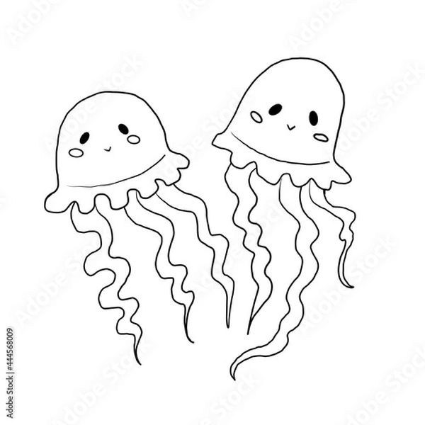 Obraz black and white coloring doodle cute two round jellyfish with wavy tentacles isolated on a white background, ocean, sea, animals, cartoon