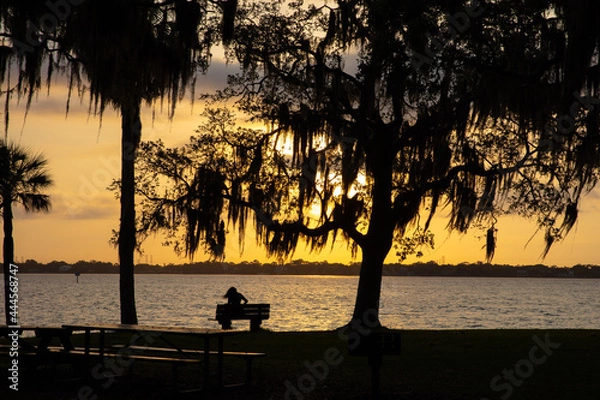Obraz philippe park silhouette
