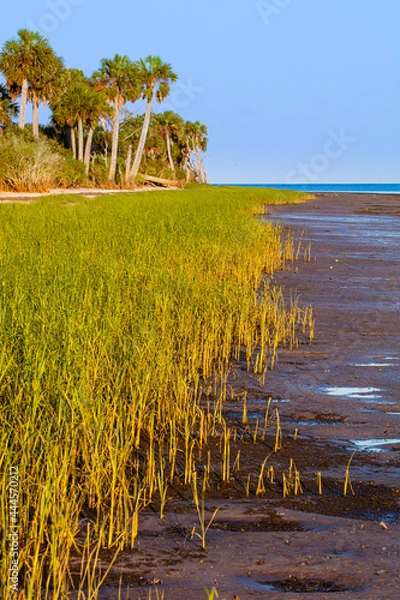 Obraz tidelands by the gulf