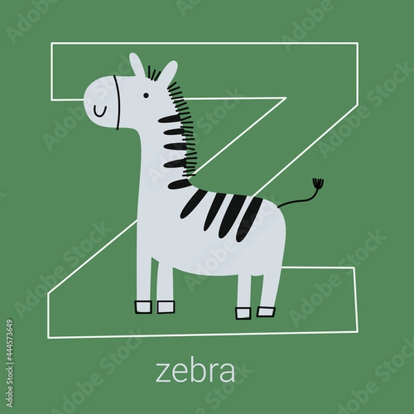 Fototapeta Vector flat illustration for children's alphabet. The letter " Z " and a zebra in the foreground.