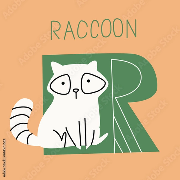 Fototapeta Vector flat illustration for children's alphabet. The letter R and the raccoon on the background.