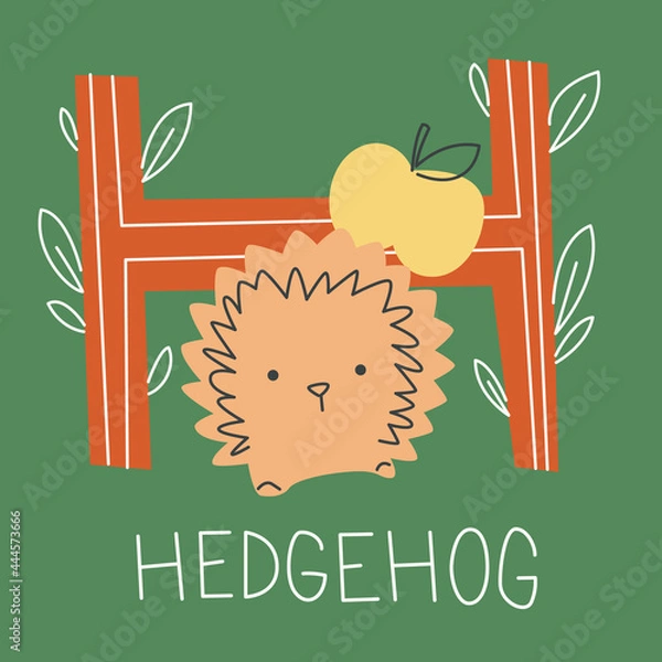 Fototapeta Vector flat illustration for children's alphabet. The letter H and the hedgehog on the background.