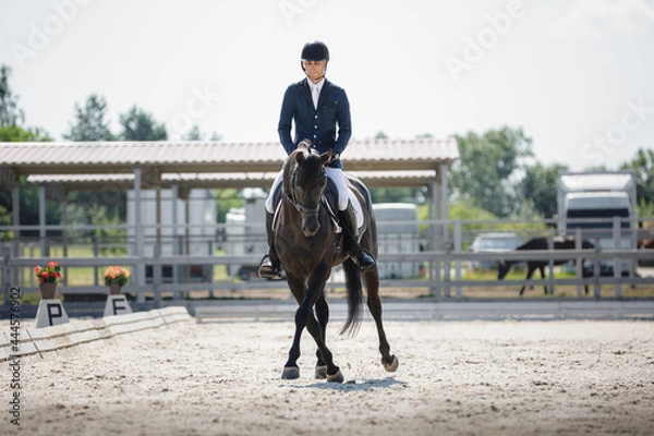 Obraz portrait of man rider and black stallion eventing horse trotting leg-yield during equestrian dressage competition in summer