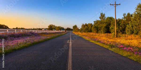 Obraz colorful road to Ocala