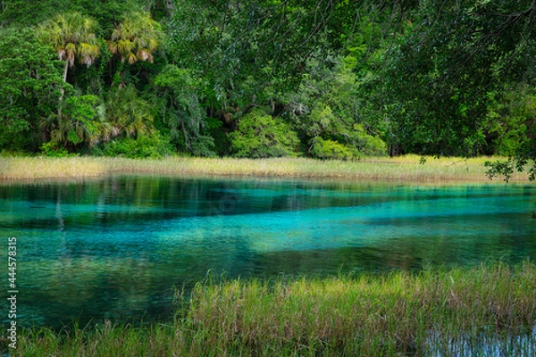 Obraz rainbow springs flow