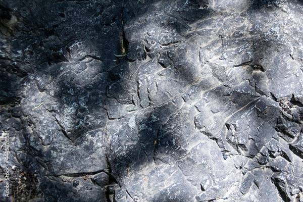 Fototapeta stone texture. Closeup of the rough texture of a big rock. Surface of the stone for natural background. Closeup blurred stone background texture