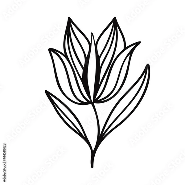 Fototapeta Modern isolated stylized design with abstract black and white flower