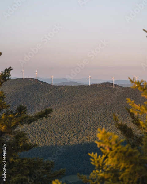 Obraz Mountaintop windmills