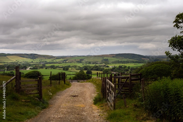 Fototapeta View of the landscape between Cogra Moss and Ennerdale Water in summer, Lake district, England