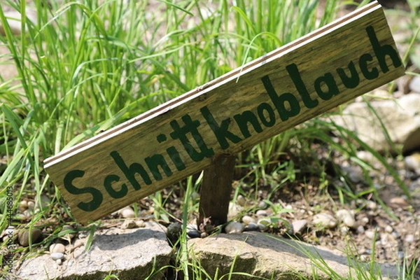 Obraz Schild Beet Schnittknoblauch