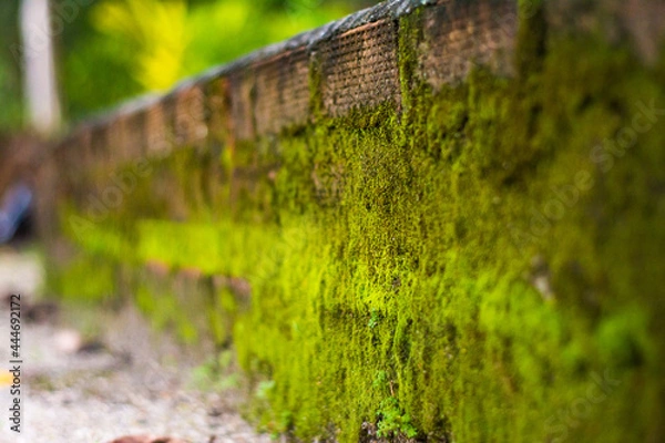Obraz กำแพงเก่าที่ภูกทิ้งร้าง
