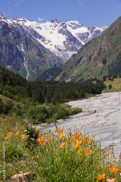 Obraz meadow with flowers