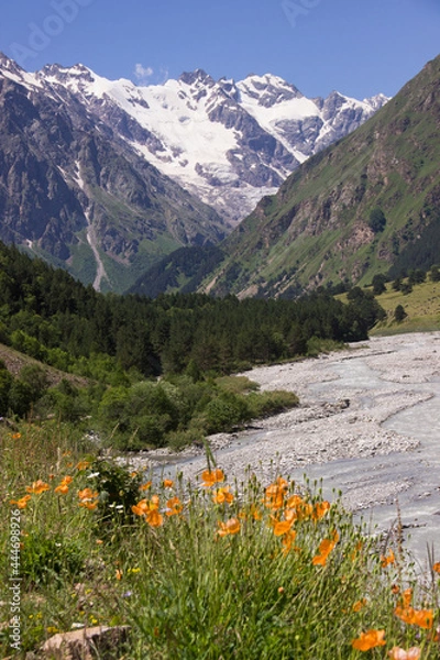 Obraz meadow with flowers