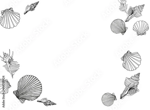 Fototapeta 貝殻