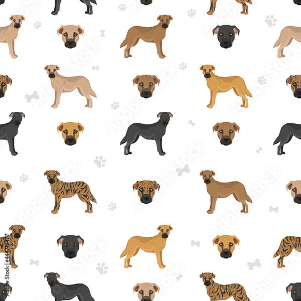 Fototapeta Black mouth cur seamless pattern. Different coat colors and poses set