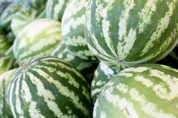 Fototapeta Wassermelonen