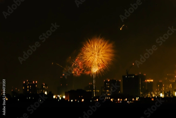 Obraz 対岸の花火