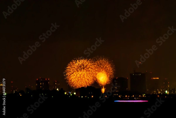 Obraz 対岸の花火