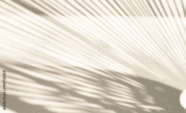Fototapeta Abstract geometric shadows on grey, gold or yellow natural material wall., background. Sunny warm background