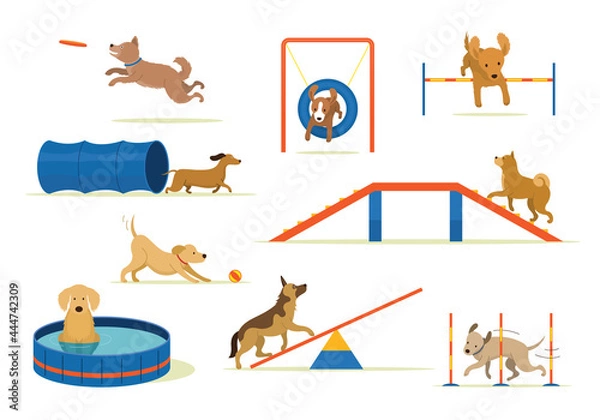 Fototapeta Dogs Playing in Playground with Equipment Set