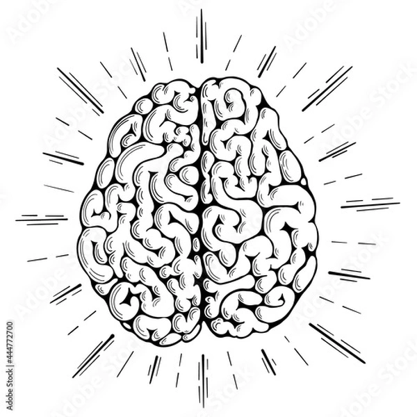 Obraz Human brain with lightning around. Brainstorming creative concept in sketch style. Vector illustration.