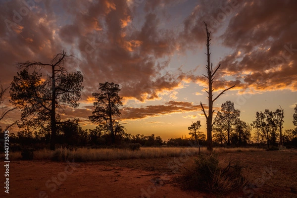 Obraz Sunset in the Outback
