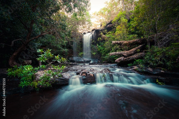 Obraz Waterfall in the forest