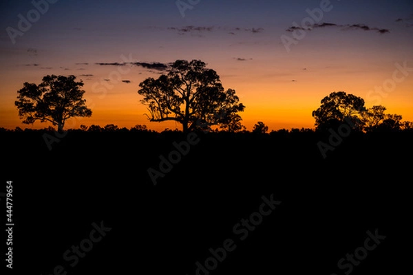 Obraz savanna sunset