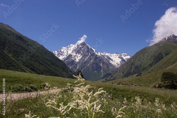 Obraz alpine meadow in the mountains