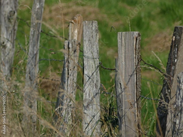 Obraz Clôture de campagne